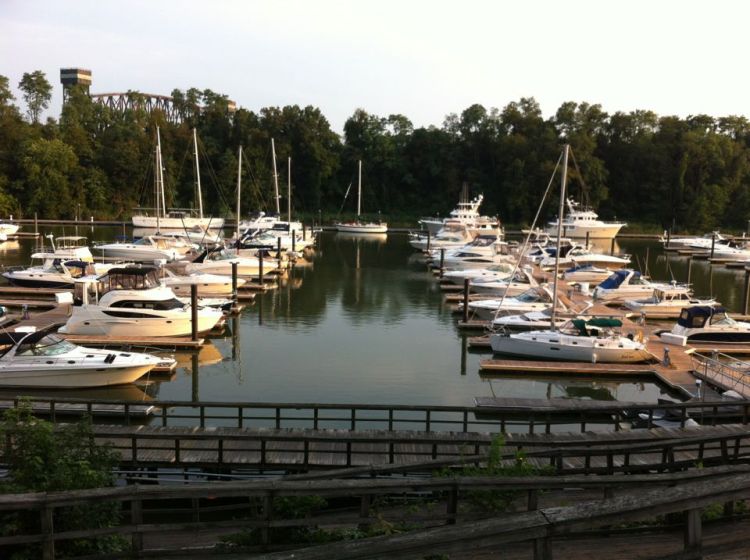 419889_4545777607574_350527138_n